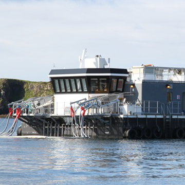 Indústria da aquicultura